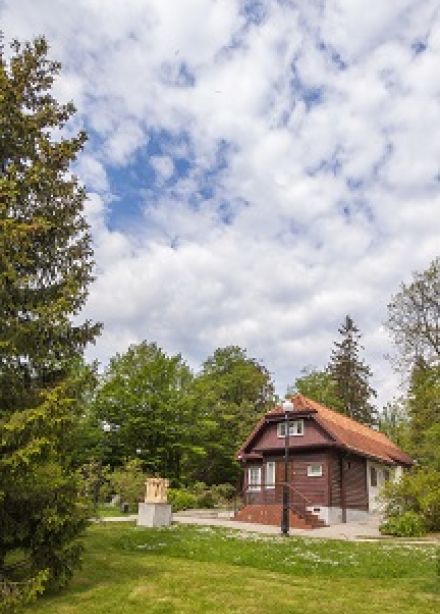 Жизнь – творчество: Экспозиция музея Германа Брахерта