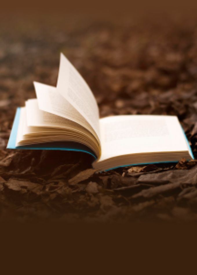 Спектакль "Роман с моей жизнью"