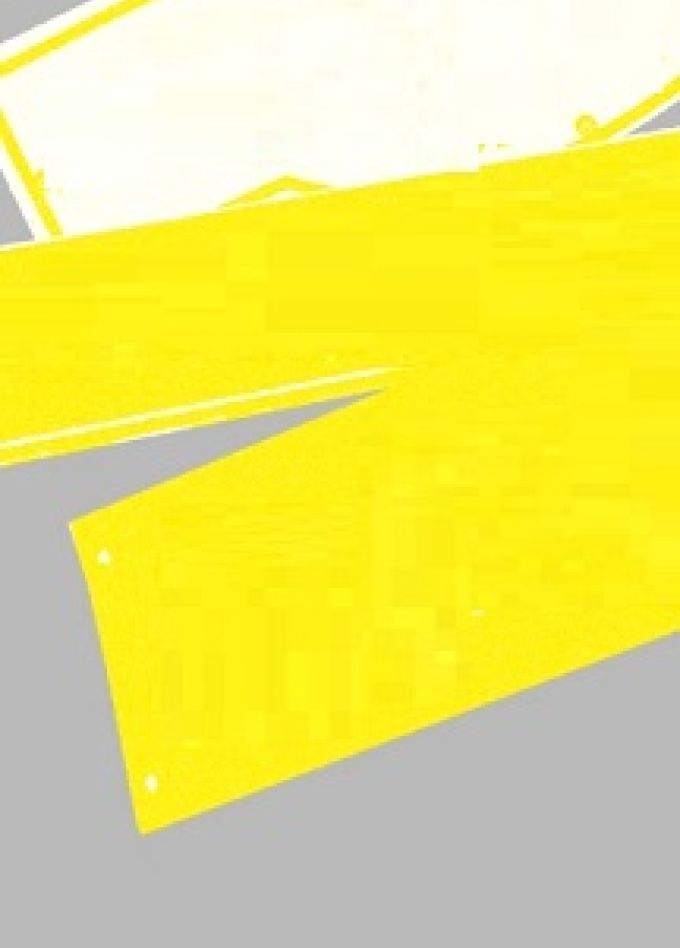 Калининградские улицы: тайны известных фамилий. Лекторий